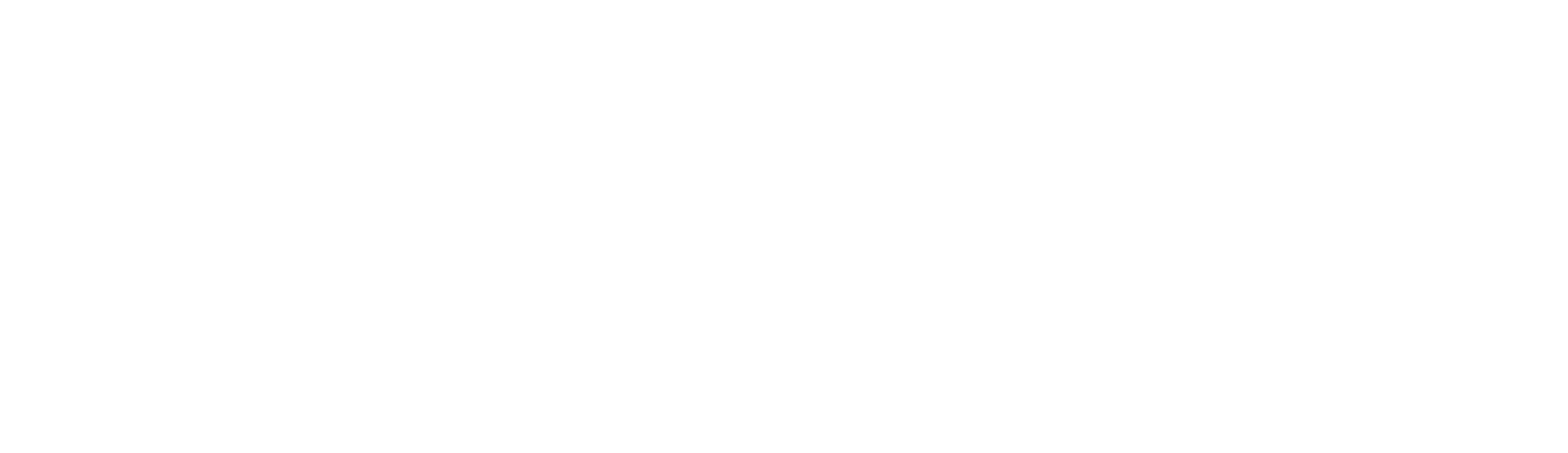 omniX Logo